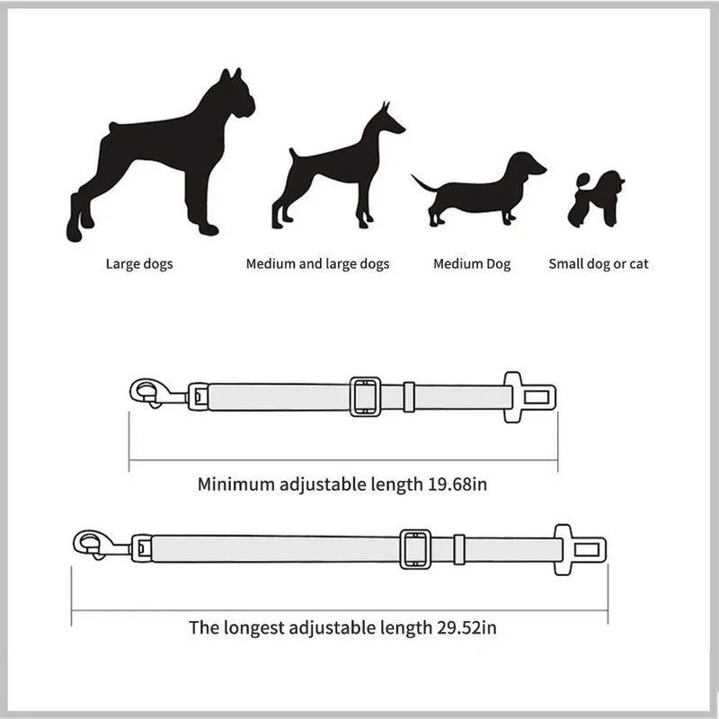 Cinto de segurança para colar de Cão