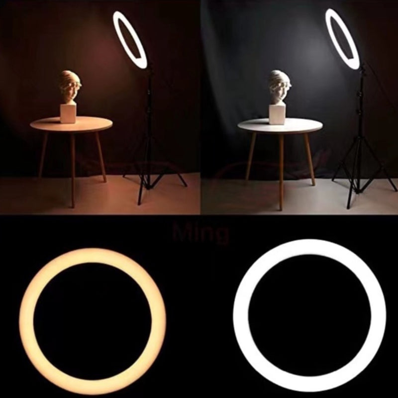 Ring Light Iluminador 8 Polegadas Com Tripé De 2.10 Metro